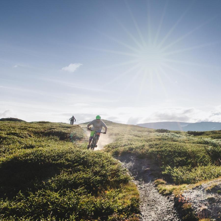 Highland Lodge Fjellandsby Гейло Екстериор снимка