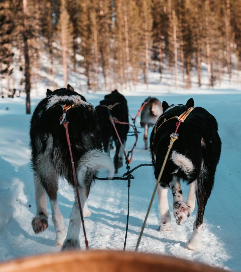 Highland Lodge Fjellandsby Гейло Екстериор снимка