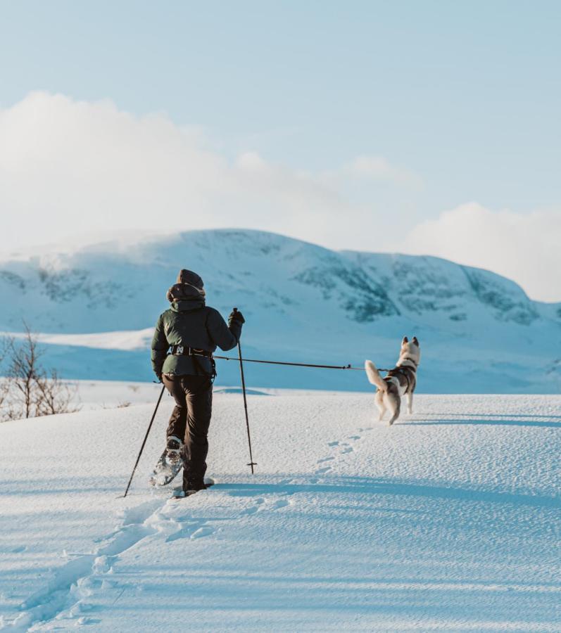 Highland Lodge Fjellandsby Гейло Екстериор снимка